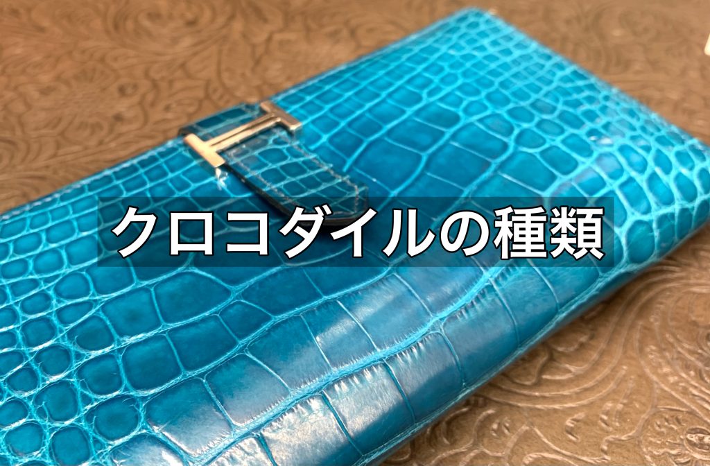 ポロサスが求められる理由とは？クロコダイルの種類とともにご紹介！