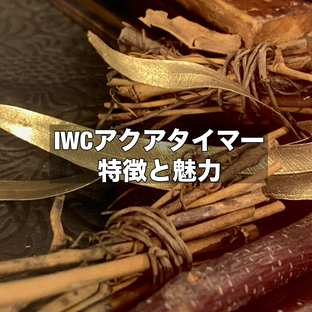 IWCアクアタイマーの特徴と魅力に迫る！歴史や特徴をご紹介！