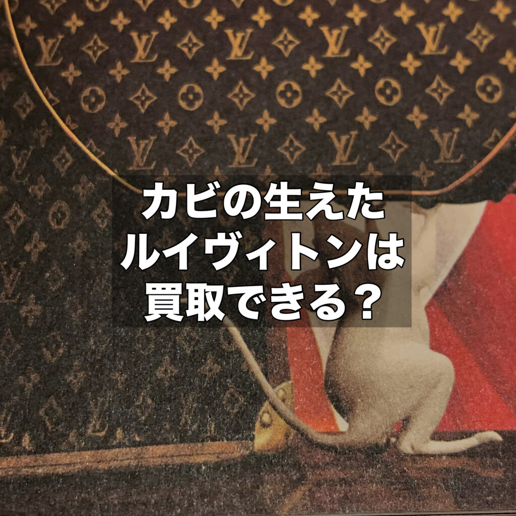 カビの生えたルイヴィトンでも買取してもらえる？カビ原因と適切な保存方法も解説！